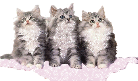 http://www.casimages.com/img/gif/070419042847492186.gif