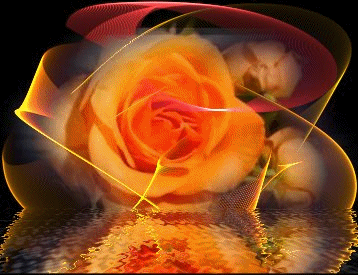 Image hébergée par Casimages.com : votre hébergeur d images simple et gratuit