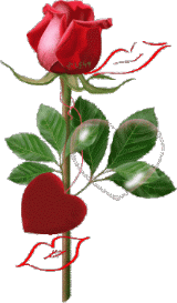 Image hébergée par Casimages.com : votre hébergeur d images simple et gratuit