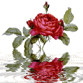 Image hébergée par Casimages.com : votre hébergeur d images simple et gratuit