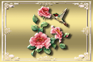 Image hébergée par Casimages.com : votre hébergeur d images simple et gratuit