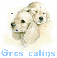 Image hébergée par Casimages.com : votre hébergeur d images simple et gratuit