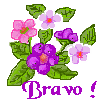 http://www.casimages.com/img/gif/070525093047601348.gif