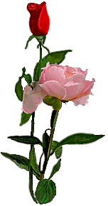 Image hébergée par Casimages.com : votre hébergeur d images simple et gratuit