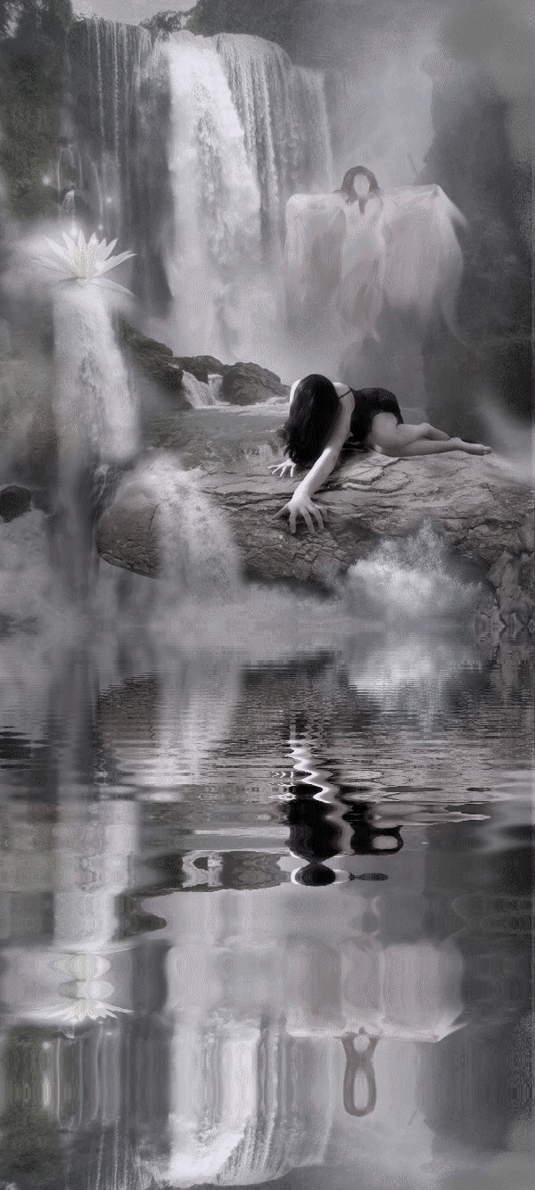 Image h�berg�e par Casimages.com : votre h�bergeur d images simple et gratuit