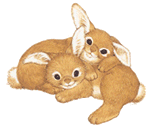 Image hébergée par Casimages.com : votre hébergeur d images simple et gratuit