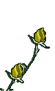 Image hébergée par Casimages.com : votre hébergeur d images simple et gratuit