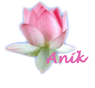 Image hébergée par Casimages.com : votre hébergeur d images simple et gratuit
