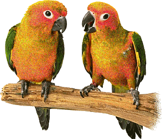 Image hébergée par Casimages.com : votre hébergeur d images simple et gratuit