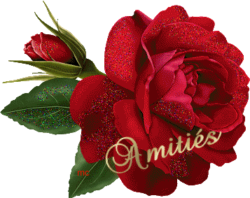 Image hébergée par Casimages.com : votre hébergeur d images simple et gratuit
