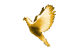 Image hébergée par Casimages.com : votre hébergeur d images simple et gratuit