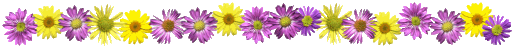 Image h�berg�e par Casimages.com : votre h�bergeur d images simple et gratuit
