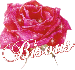 L'image “http://www.casimages.com/img/gif/0706220832072590739144.gif” ne peut être affichée car elle contient des erreurs.