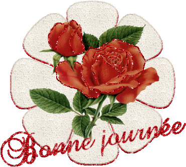 L'image “http://www.casimages.com/img/gif/0706220835092590739153.gif” ne peut être affichée car elle contient des erreurs.