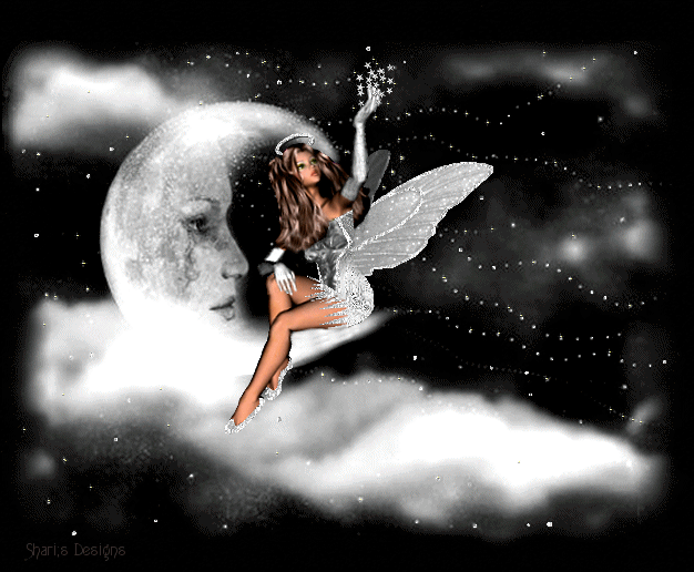 L'image �http://www.casimages.com/img/gif/070625055258757565.gif� ne peut �tre affich�e car elle contient des erreurs.