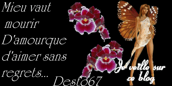 Image h�berg�e par Casimages.com : votre h�bergeur d images simple et gratuit