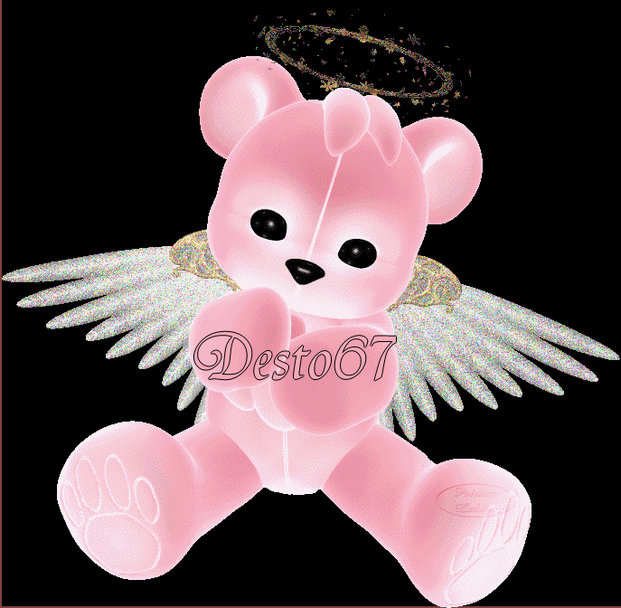 Image h�berg�e par Casimages.com : votre h�bergeur d images simple et gratuit