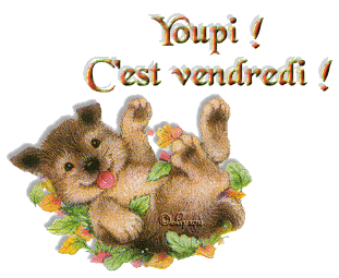 Image hébergée par Casimages.com : votre hébergeur d images simple et gratuit