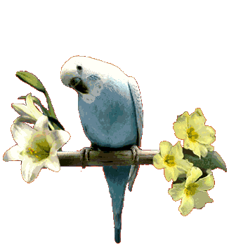 Image hébergée par Casimages.com : votre hébergeur d images simple et gratuit