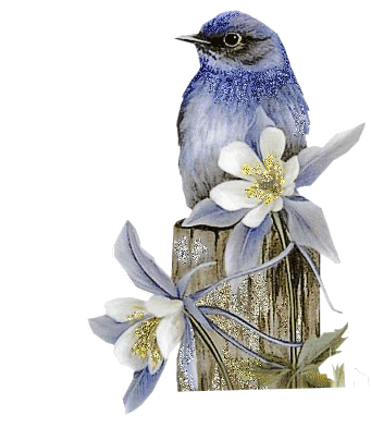 Image hébergée par Casimages.com : votre hébergeur d images simple et gratuit