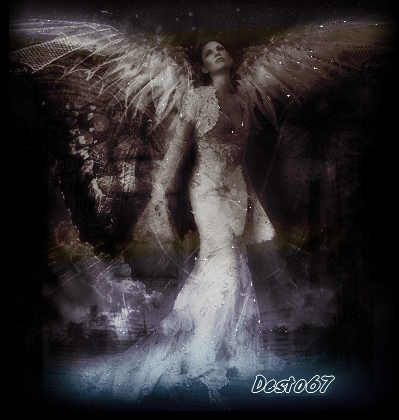 Image h�berg�e par Casimages.com : votre h�bergeur d images simple et gratuit