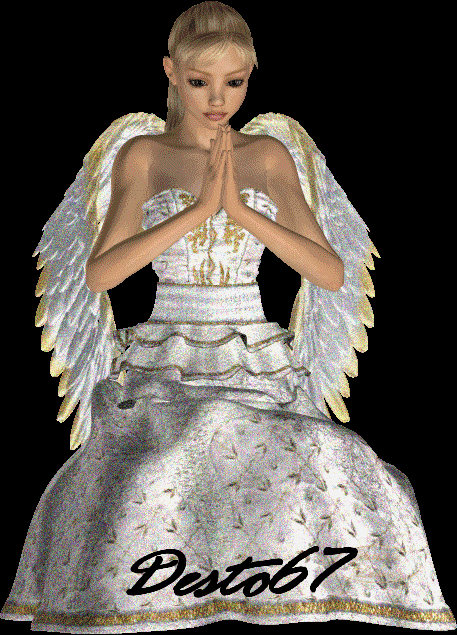 Image h�berg�e par Casimages.com : votre h�bergeur d images simple et gratuit