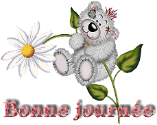 Image hébergée par Casimages.com : votre hébergeur d images simple et gratuit