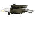 Image hébergée par Casimages.com : votre hébergeur d images simple et gratuit