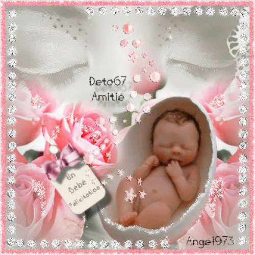 Image h�berg�e par Casimages.com : votre h�bergeur d images simple et gratuit