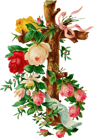Image hébergée par Casimages.com : votre hébergeur d images simple et gratuit