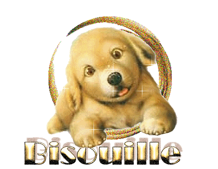 http://www.casimages.com/img/gif/0707060710412590816866.gif