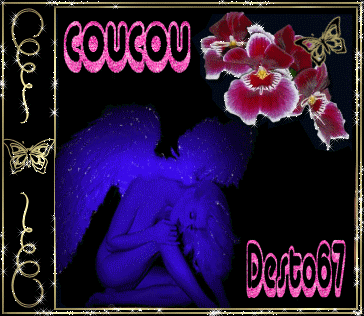 Image h�berg�e par Casimages.com : votre h�bergeur d images simple et gratuit