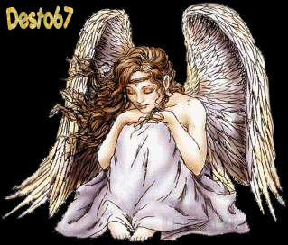 Image hébergée par Casimages.com : votre hébergeur d images simple et gratuit