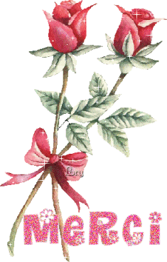 http://www.casimages.com/img/gif/0707090412398692827427.gif