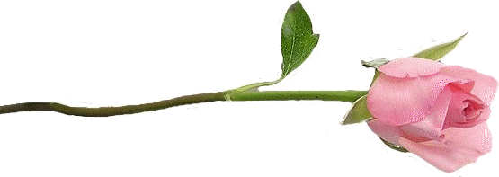 Image hébergée par Casimages.com : votre hébergeur d images simple et gratuit
