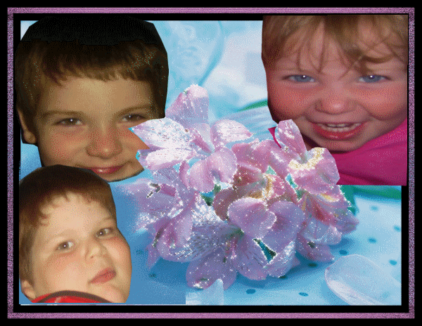 Image h�berg�e par Casimages.com : votre h�bergeur d images simple et gratuit