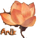 Image hébergée par Casimages.com : votre hébergeur d images simple et gratuit