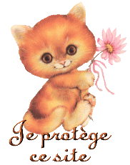 Image hébergée par Casimages.com : votre hébergeur d images simple et gratuit