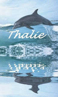 Image hébergée par Casimages.com : votre hébergeur d images simple et gratuit