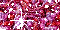 Image h�berg�e par Casimages.com : votre h�bergeur d images simple et gratuit