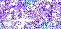 Image h�berg�e par Casimages.com : votre h�bergeur d images simple et gratuit