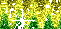 Image h�berg�e par Casimages.com : votre h�bergeur d images simple et gratuit