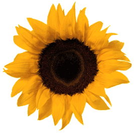 Image hébergée par Casimages.com : votre hébergeur d images simple et gratuit