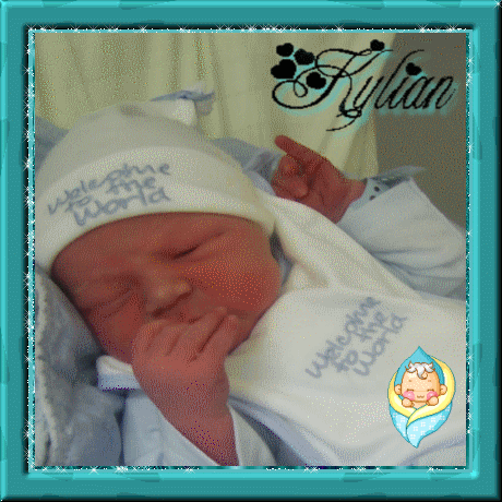 Image h�berg�e par Casimages.com : votre h�bergeur d images simple et gratuit