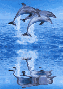 Image
h�berg�e par Casimages.com : votre h�bergeur d images simple et gratuit