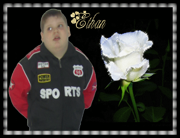 Image h�berg�e par Casimages.com : votre h�bergeur d images simple et gratuit