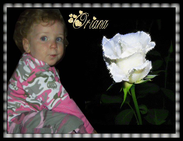 Image h�berg�e par Casimages.com : votre h�bergeur d images simple et gratuit