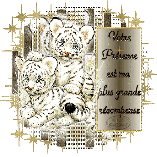 Image hébergée par Casimages.com : votre hébergeur d images simple et gratuit