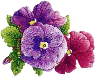 http://www.casimages.com/img/gif/0708201006431044214.gif