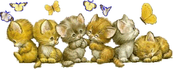 Image h�berg�e par Casimages.com : votre h�bergeur d images simple et gratuit